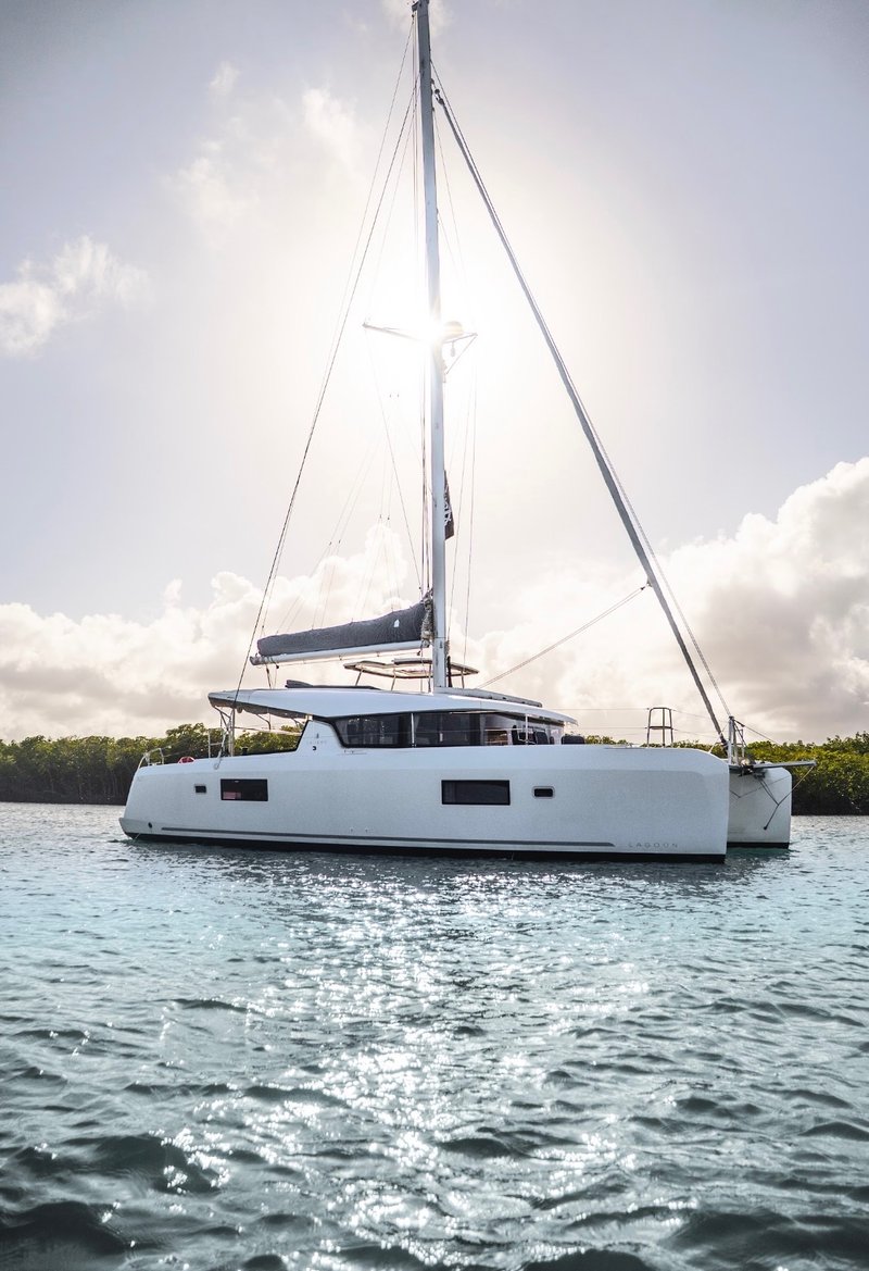 LunaCat anchored among the mangroves